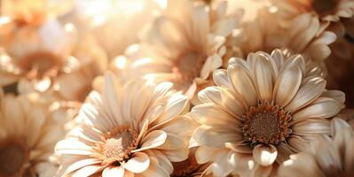 AI generated Outdoor Flower Background photo