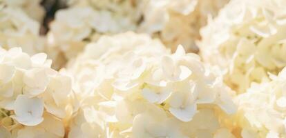 AI generated Elegant Flower Background photo