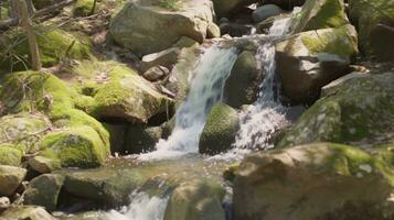 AI generated A serene waterfall cascades through a rocky stream, creating a picturesque scene of nature's beauty. Generative AI photo