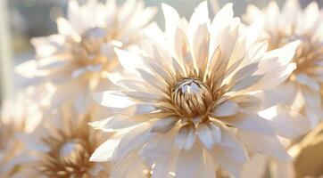 AI generated Outdoor Flower Background photo