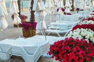 Beach line for relaxation with sun loungers and flowers photo