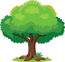 cartoon tree with green leaves and grass vector