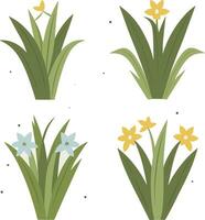 four different types of grass vector