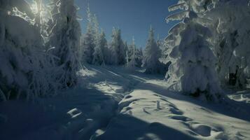 ai generado un sereno invierno escena de un Nevado bosque con alto arboles cubierto en nieve, creando un pintoresco paisaje. generativo ai foto