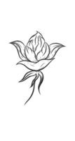 hand dragen blommor png