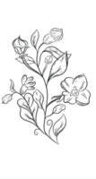 hand- getrokken bloem PNG