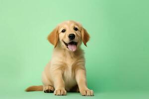 ai generado adorable dorado perrito con amplio Copiar espacio foto