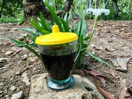 Glass of coffee on plant background photo