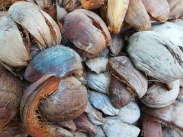 Dry Tropical Coconut shell and fiber skin. close up Brown island summer plant. photo