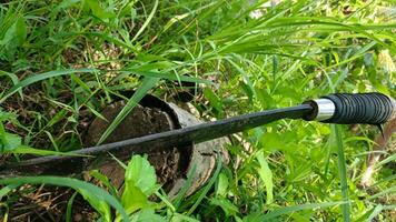 Sharp machete with wooden stump background. Machete on wooden background. photo