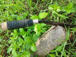 Sharp machete with wooden stump background. Machete on wooden background. photo