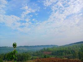 The view of the plantations is green and beautiful, there are blue clouds. See the view of the hills with blue clouds. photo