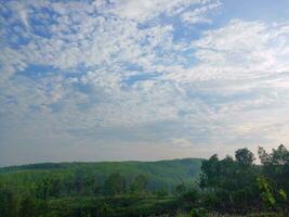 The view of the plantations is green and beautiful, there are blue clouds. See the view of the hills with blue clouds. photo