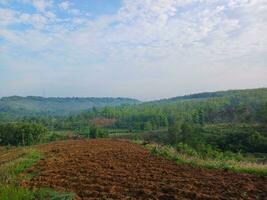 The view of the plantations is green and beautiful, there are blue clouds. See the view of the hills with blue clouds. photo