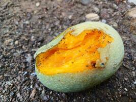 Fresco y hermosa mango Fruta en tierra antecedentes. mango Fruta en tierra antecedentes. foto