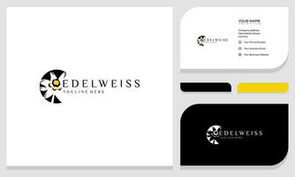 resumen Edelweiss flor para logo diseño inspiración vector