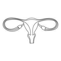 uterus organ woman reproductive cycle icon element vector