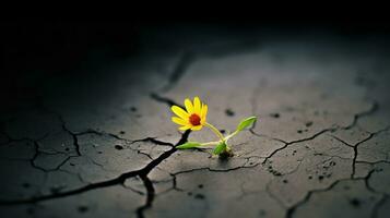 ai generado un vibrante amarillo flor flores en medio de agrietado tierra, exhibiendo Resiliencia y belleza en adversidad. generativo ai foto