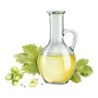 Jug with grape seed oil. A decanter with grape juice. Natural vegetable oil. Grape seed oil in glass bottle. Isolated watercolor illustration. For the design of labels of wine, grape juice, cosmetics. vector