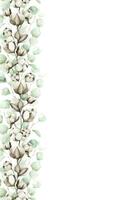 Cotton flowers, green leaf and branches eucalyptus. Frame of cotton flowers. Watercolor floral illustrations. Background for wedding invitations, greetings, wallpapers, postcards vector