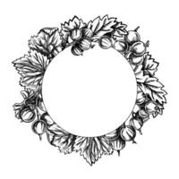 Round frame of currant elements, hand drawn black and white graphic vector illustration. Isolated on a white background. Design element for packaging, banners and menus, textiles and posters