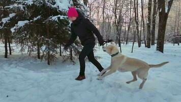 alegre Tiempo de juego rosado gorro y perro en nieve video