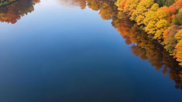 ai generado aéreo ver de otoño bosque con reflexión en el lago superficie. foto