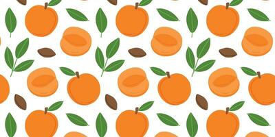 Fruits of apricot on a white color background. Apricot with leaves vector pattern. Seamless vector floral pattern. Repeating design for fabric, drawing labels, wallpaper, fruit background.