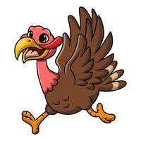 Cute turkey bird cartoon on white background vector