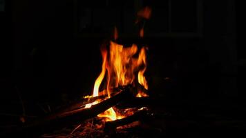 Put firewood on the fire.  Camping in the camp fire is burning in nature in the dark. Create a fire. safe use of fire in the forest. video
