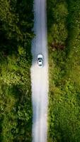 Aerial top down shot of car driving on dirt road through nature video