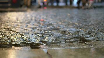 acqua gocce su il piovoso giorno. notte Visualizza nel il città, selettivo messa a fuoco video