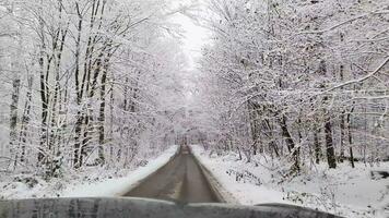 ver desde un Moviente coche en un nieve cubierto país la carretera con arboles y un montón de nieve. video