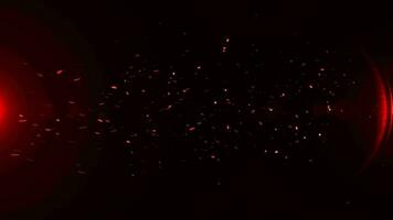 Flying sparks and coals from a fire. abstract glowing particles of burning fire and smoke on a black background, bonfire flares video