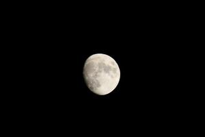 Full Moon Shining Bright In The Night photo