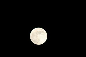 Full Moon Shining Bright In The Night photo