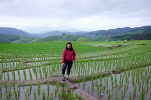 Asian woman is freedom and happy on terraced Paddy rice fields on mountain in the countryside, Chiangmai Province of Thailand. People for travel in greenery tropical rainy season concept photo