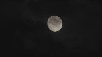 nuvole galleggiante passato un' luminosa pieno Luna nel il buio notte metraggio video