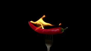 Hot red chili pepper on a fork in flames on a black background. Spicy food concept. Slow motion video