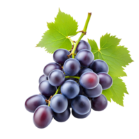 AI generated Grape Bunch Isolated on Transparent Background png