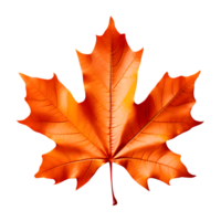 AI generated Orange Maple Leaf Isolated on Transparent Background png