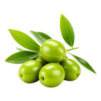 AI generated Green Olive Branch Isolated on White Background png