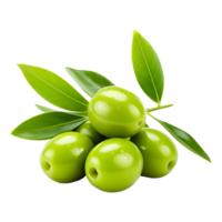 AI generated Green Olive Branch Isolated on White Background png