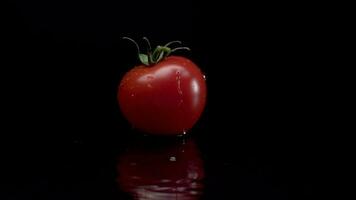 tomate lento movimento fechar-se queda dentro água com respingo gotas em Preto fundo macro tiro cozinhando vídeo video