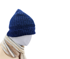 a modelo é vestindo uma azul pele chapéu e inverno roupas png transparente