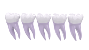 dente implantar isolado em fundo. 3d Renderização- ilustração png