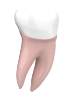 dente implantar isolado em fundo. 3d Renderização- ilustração png