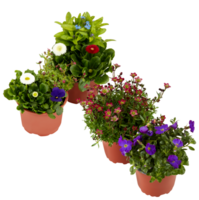 bukett av färsk blommor i en pott skära ut isolerat transparent bakgrund png