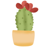 binnen- planten illustratie png