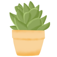 interior plantas ilustración png